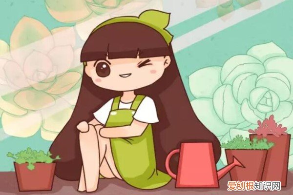 适合做花盆的废东西 花盆别买了，家里废品拿来养花，省钱又好看！