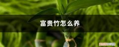 富贵竹怎么养才能更旺盛 冬天 富贵竹怎么养