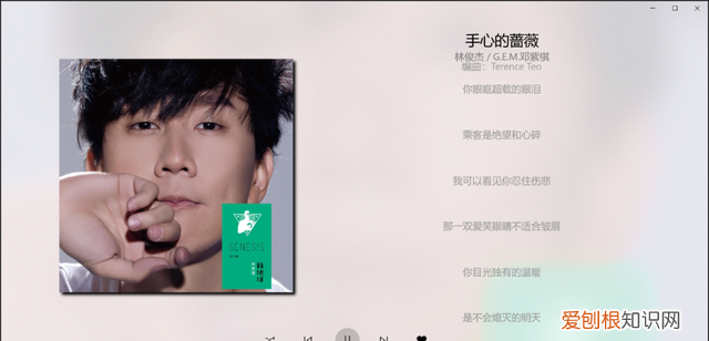 网易云音乐有自己的播放器吗,网易云音乐比其他播放器好用吗
