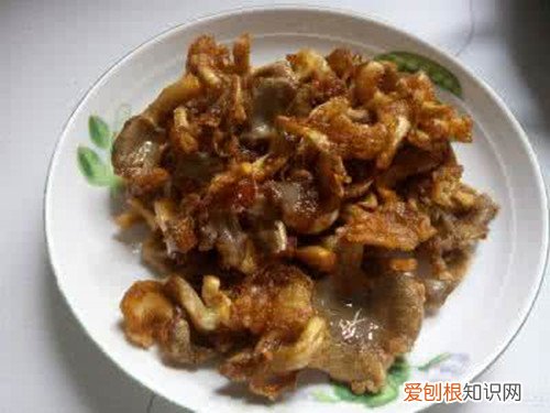 凤尾菇的做法大全 凤尾菇怎么做好吃