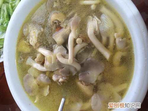 凤尾菇的做法大全 凤尾菇怎么做好吃