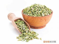 小茴香是什么怎样用小茴香制作家常菜