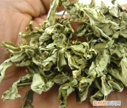 陈艾的功效与作用都有哪些 如何区分新艾和陈艾