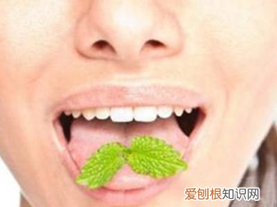 茶叶妙用有哪些 茶叶的十大生活妙用