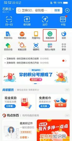 蚂蚁森林浇水怎么样操作,支付宝芭芭农场怎么给好友浇水