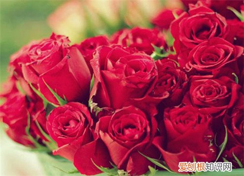 21朵玫瑰花语是什么 不同年龄的人送21朵玫瑰花意义不同