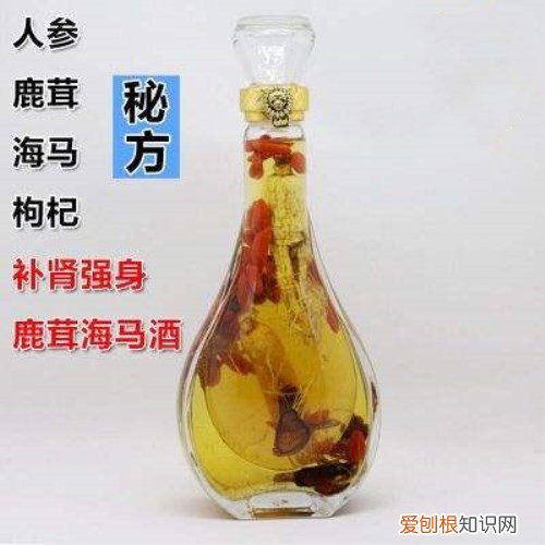 海马是鱼吗 海马泡酒有什么功效