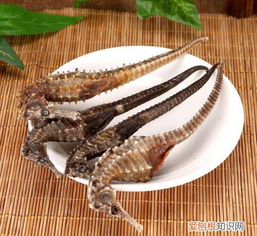 海马是鱼吗 海马泡酒有什么功效