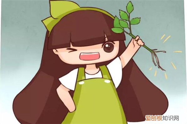 撞墙2.0扦插详细说明 “撞墙2.0扦插法”，插啥活啥，再不用买花了！