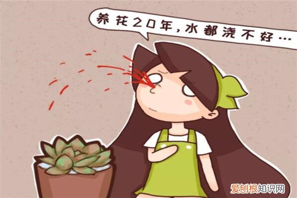 养花水浇多了 养花20年，水都浇不好，怪不得养一盆死一盆！
