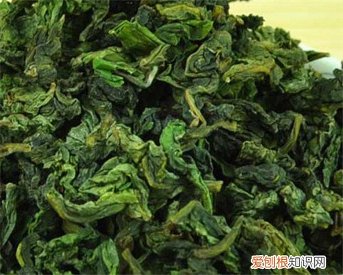 铁观音属于绿茶么 铁观音是温性的还是凉性的