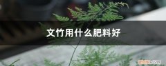文竹可以用什么肥料 文竹用什么肥料好