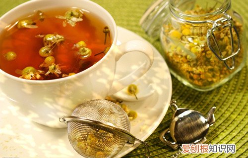 野菊花茶怎样制作哪些人不宜饮用菊花茶