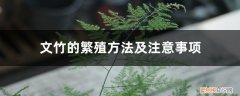 文竹的繁殖方法和注意事项 文竹的繁殖方法及注意事项