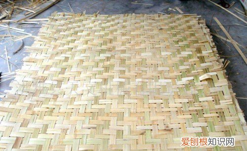 竹子的用途有哪些 竹子的五大使用用途