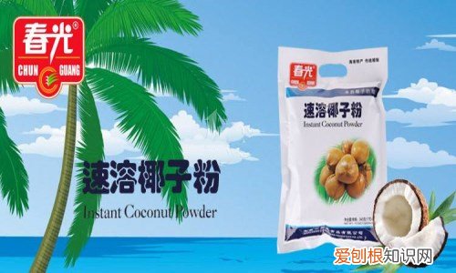 椰子粉哪个牌子好 食椰子粉有哪些作用