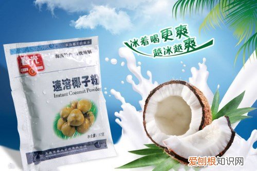 椰子粉哪个牌子好 食椰子粉有哪些作用
