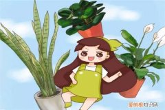 记住我们在养小孩,不是在养花 养花儿就像养孩子，一不留神就撒欢儿，管都管不住！