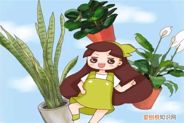记住我们在养小孩,不是在养花 养花儿就像养孩子，一不留神就撒欢儿，管都管不住！