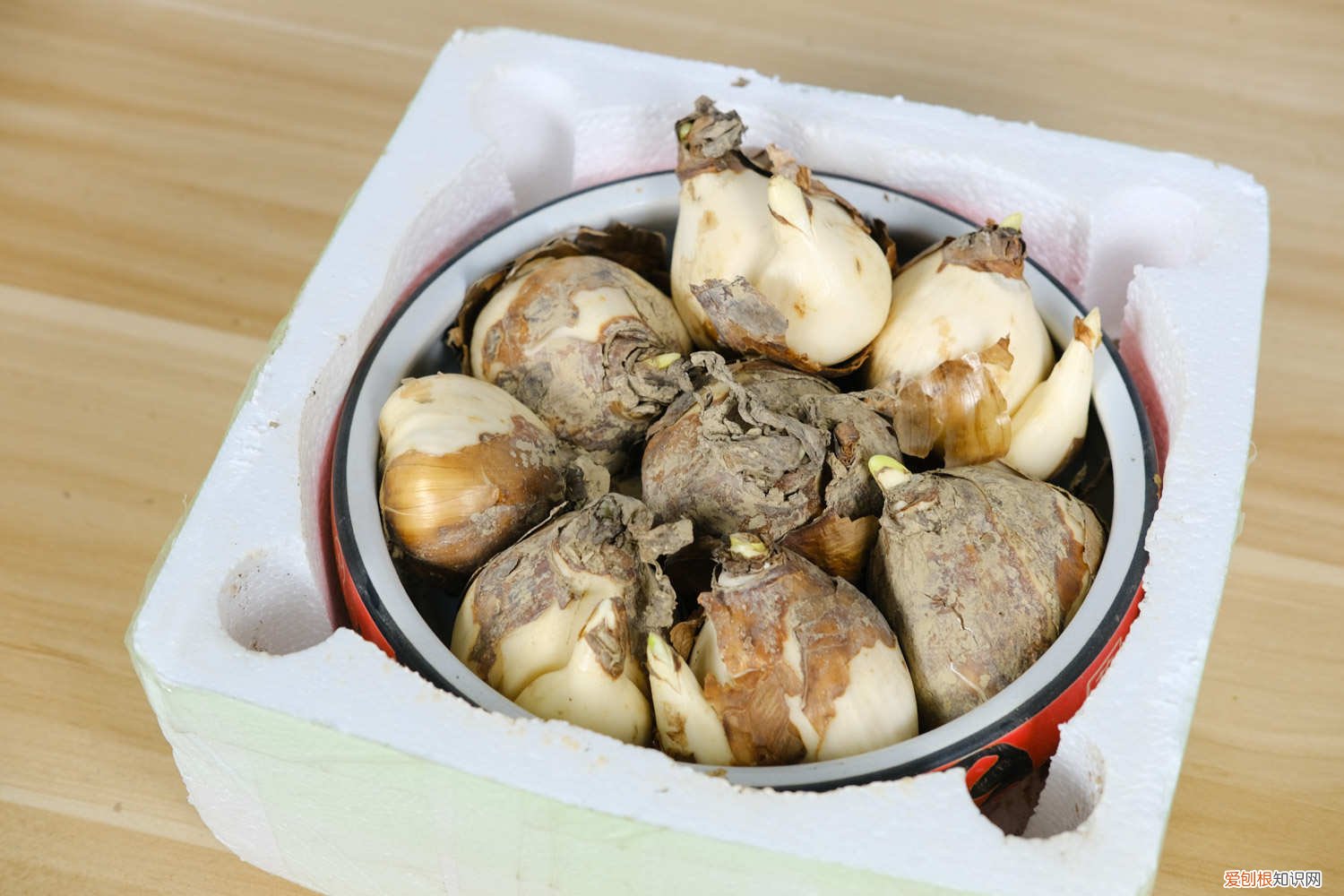 新买的水仙花怎么养护 新买的水仙花怎么养