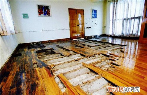 白蚁防治费用多少钱 白蚁该怎么防治