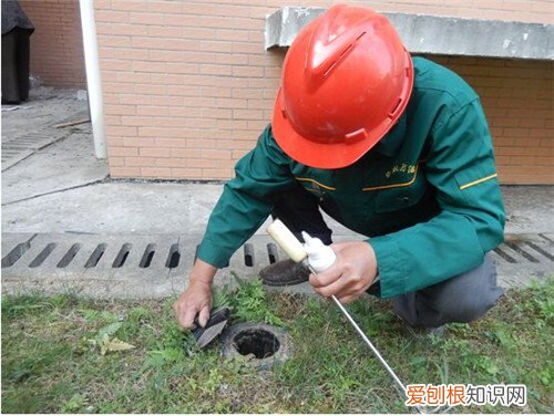 白蚁防治费用多少钱 白蚁该怎么防治