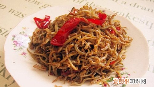 银针鱼如何饲养银针鱼家常菜的三种做法