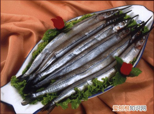 银针鱼如何饲养银针鱼家常菜的三种做法