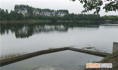 鱼塘设计要求及参考标准 该怎样管理鱼塘看这六点