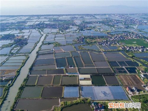 鱼塘设计要求及参考标准 该怎样管理鱼塘看这六点