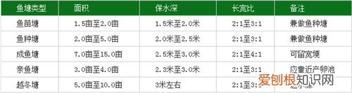 鱼塘设计要求及参考标准 该怎样管理鱼塘看这六点