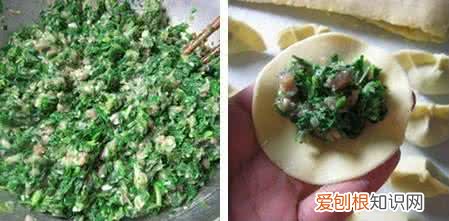 水荠菜的食用方法 荠菜的功效与作用