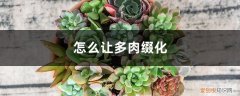 怎样让多肉缀化 怎么让多肉缀化