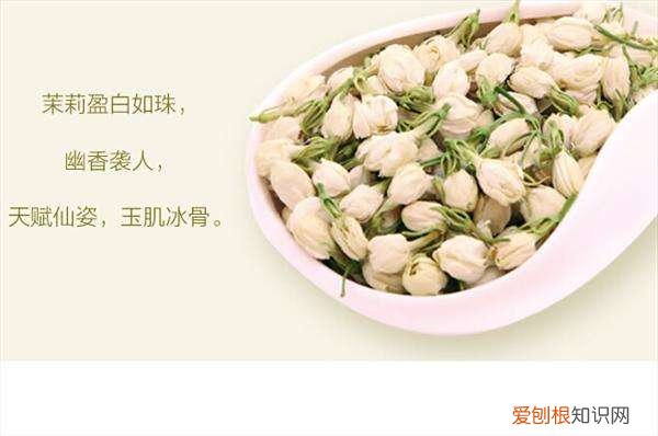茉莉花茶属于什么茶 选购茉莉花茶的技巧