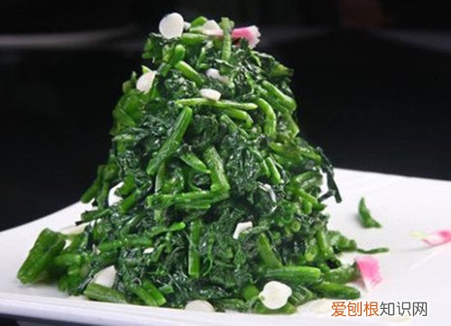 豆瓣菜是什么菜 豆瓣菜多少钱一斤