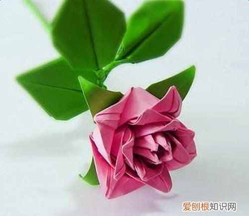 用纸折玫瑰花步骤详解怎样用纸折玫瑰花俘获她的心