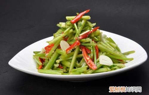 香菜根的功效大揭秘香菜根怎样做更好吃