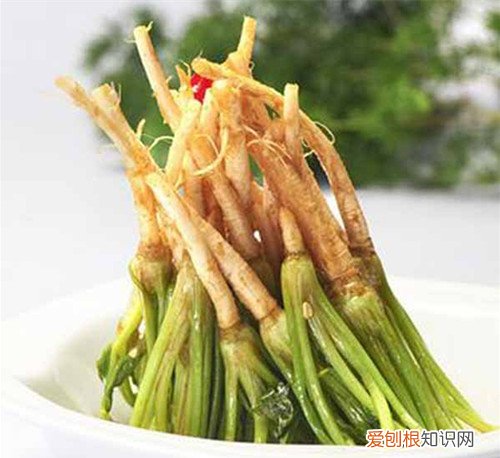 香菜根的功效大揭秘香菜根怎样做更好吃