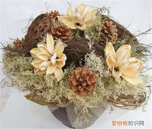 干花插花有哪些技巧 如何让干花保持更久