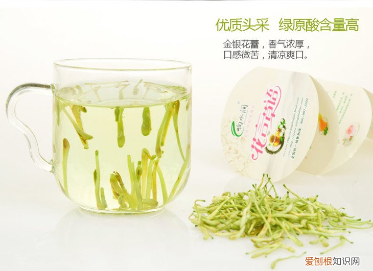 忍冬花的基本信息 不同成色的金银花如何鉴别