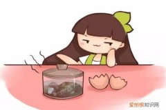 鸡蛋能当肥料浇花吗 打个鸡蛋扔花盆里，3年不用施肥！