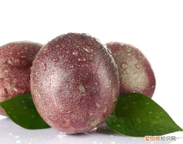 百香果干了是不是坏了,百香果干了以后还能吃吗