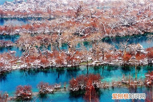 各种颜色代表的意义是什么 色彩应该怎样搭配