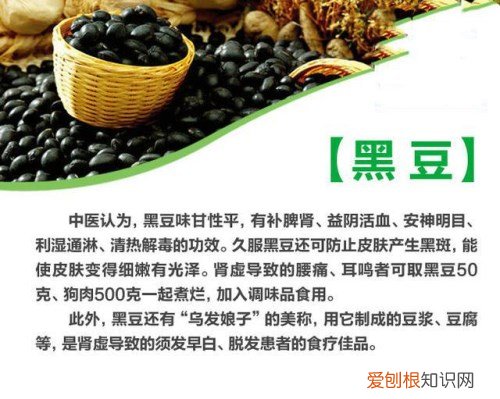 黑豆与黑芸豆的区别 五大方法教你辨别黑豆与黑芸豆