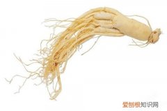 新开河参有哪些效果 河参与红参有什么区别呢
