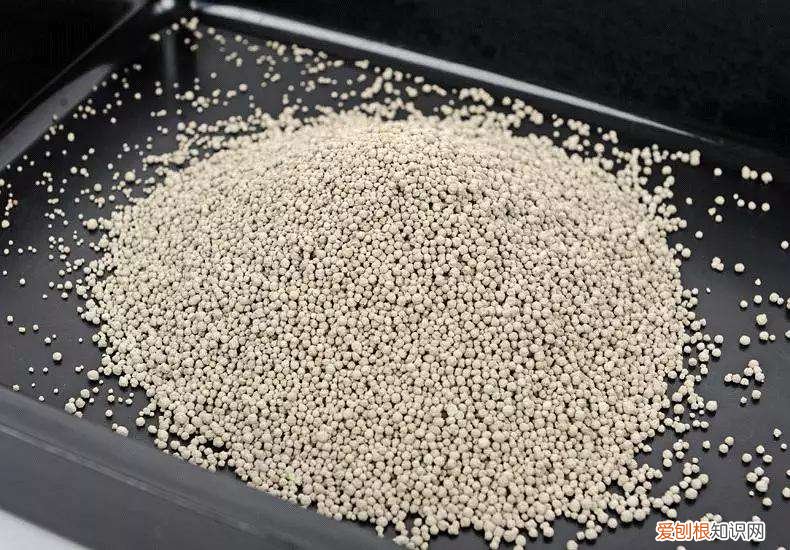 猫砂3.8l是多少斤 3l猫砂是多少斤