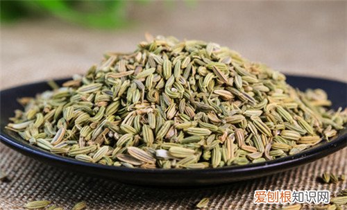 小茴香籽生吃还是熟吃啊 小茴香籽有哪些价值