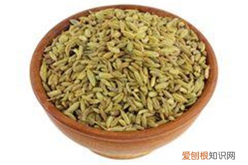 小茴香籽生吃还是熟吃啊 小茴香籽有哪些价值