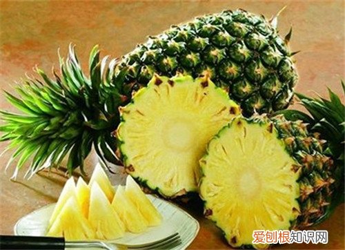 菠萝怎么长的 自己怎么种菠萝