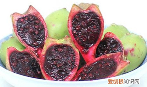 仙人掌果可以吃吗 哪些人不能吃仙人掌果
